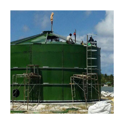 Animal Manure Anaerobic Digester Production Biogas In Bio Gas Plant Project